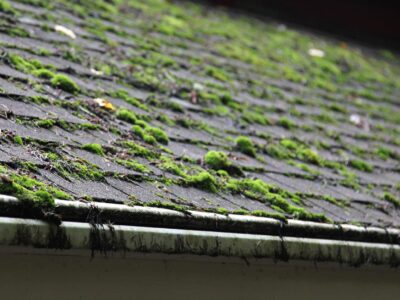 Roof sealant Halifax