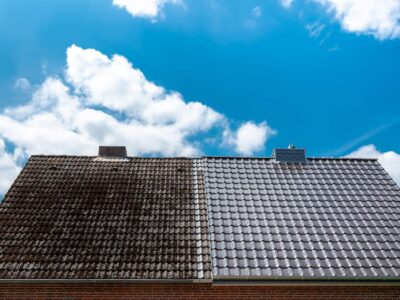 Halifax roof moss remover