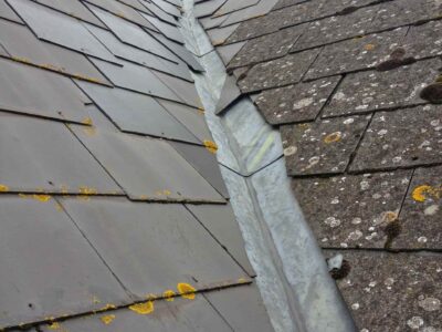 Halifax roof moss removal